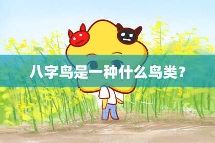 八字鸟是一种什么鸟类?