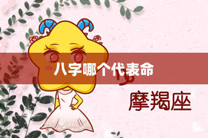 八字哪个代表命