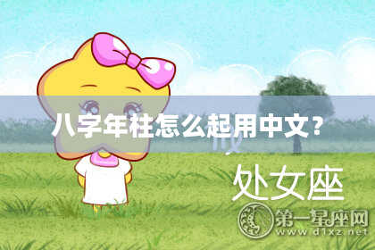 八字年柱怎么起用中文？