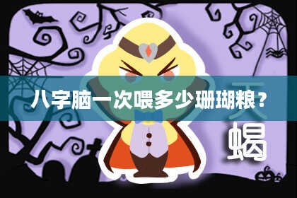 八字脑一次喂多少珊瑚粮？