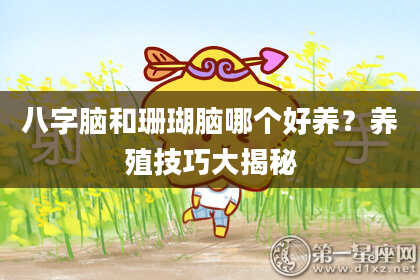 八字脑和珊瑚脑哪个好养？养殖技巧大揭秘