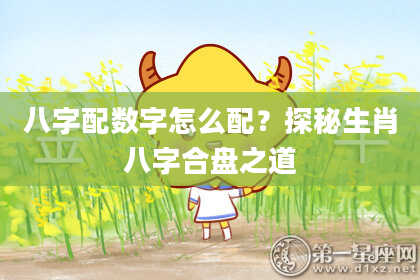 八字配数字怎么配？探秘生肖八字合盘之道