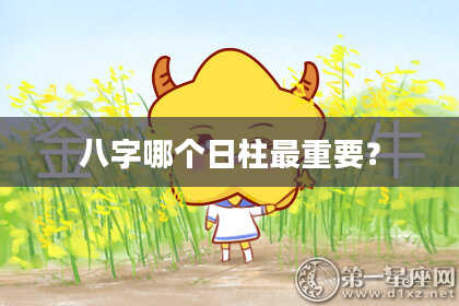 八字哪个日柱最重要？