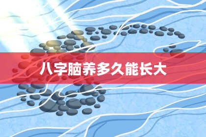 八字脑养多久能长大