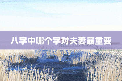 八字中哪个字对夫妻最重要