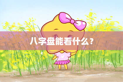 八字盘能看什么？