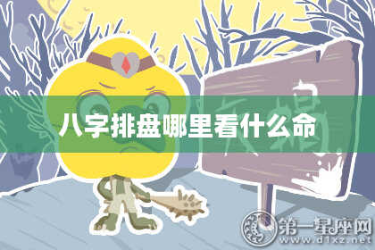 八字排盘哪里看什么命