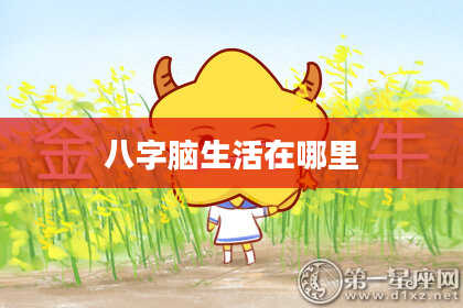 八字脑生活在哪里