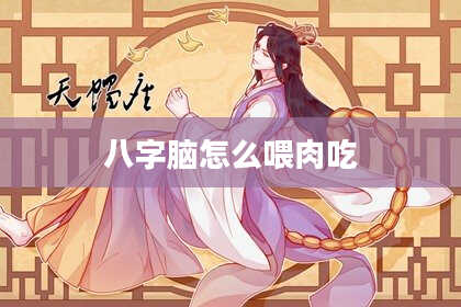八字脑怎么喂肉吃