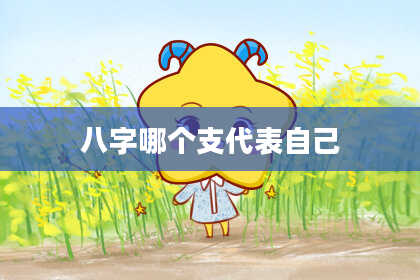 八字哪个支代表自己