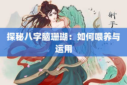 探秘八字脑珊瑚：如何喂养与运用