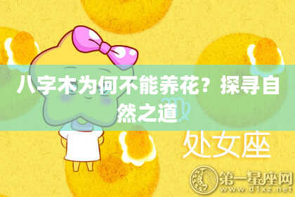 八字木为何不能养花？探寻自然之道