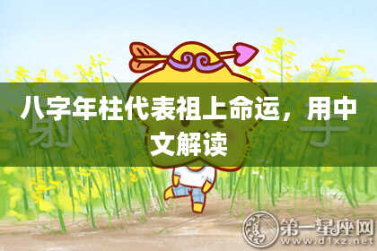 八字年柱代表祖上命运，用中文解读