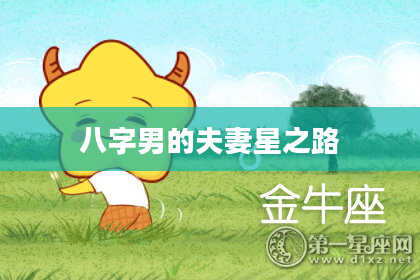 八字男的夫妻星之路