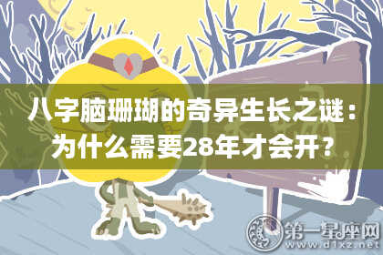 八字脑珊瑚的奇异生长之谜：为什么需要28年才会开？
