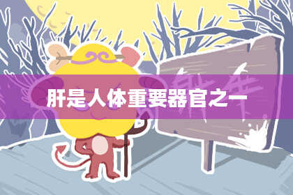 肝是人体重要器官之一