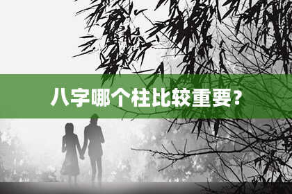 八字哪个柱比较重要？