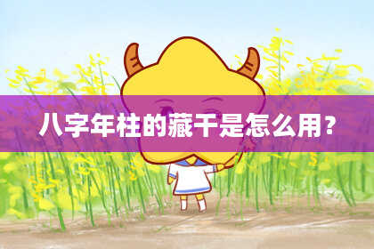 八字年柱的藏干是怎么用？