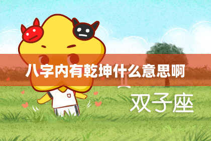 八字内有乾坤什么意思啊