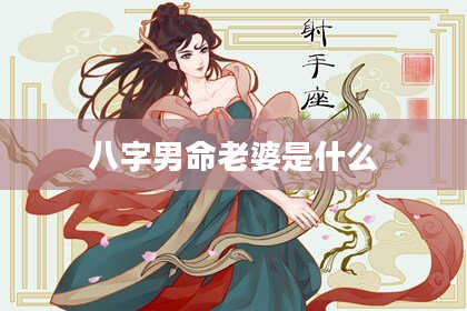 八字男命老婆是什么