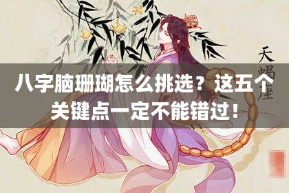 八字脑珊瑚怎么挑选？这五个关键点一定不能错过！