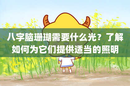 八字脑珊瑚需要什么光？了解如何为它们提供适当的照明