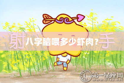 八字脑喂多少虾肉?