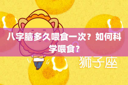 八字脑多久喂食一次？如何科学喂食？