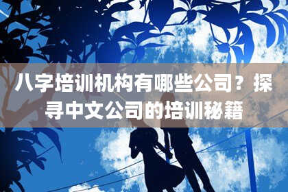 八字培训机构有哪些公司？探寻中文公司的培训秘籍