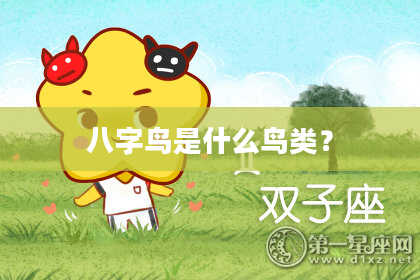 八字鸟是什么鸟类？