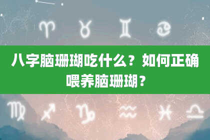 八字脑珊瑚吃什么？如何正确喂养脑珊瑚？