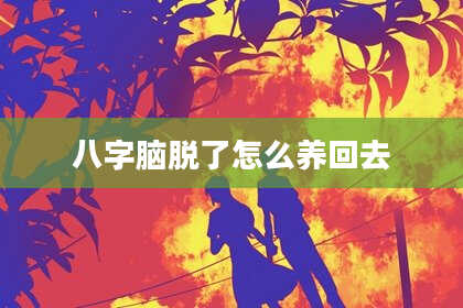八字脑脱了怎么养回去
