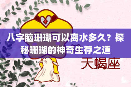 八字脑珊瑚可以离水多久？探秘珊瑚的神奇生存之道