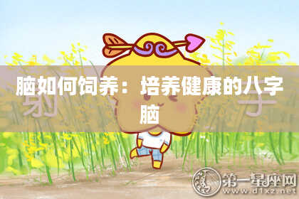 脑如何饲养：培养健康的八字脑
