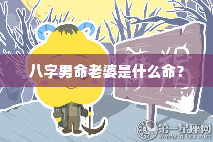 八字男命老婆是什么命？