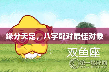 缘分天定，八字配对最佳对象