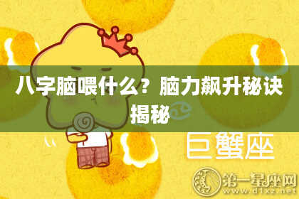 八字脑喂什么?脑力飙升秘诀揭秘