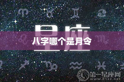 八字哪个是月令