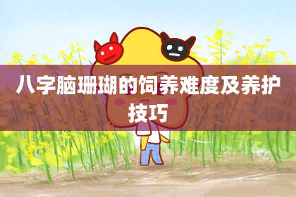 八字脑珊瑚的饲养难度及养护技巧