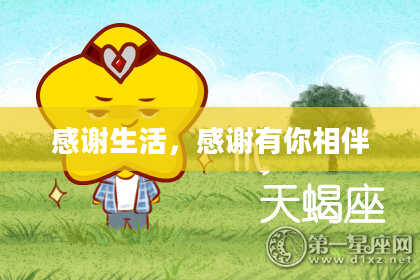 感谢生活，感谢有你相伴