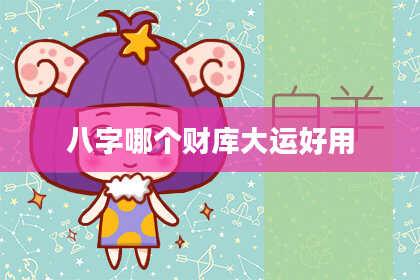 八字哪个财库大运好用
