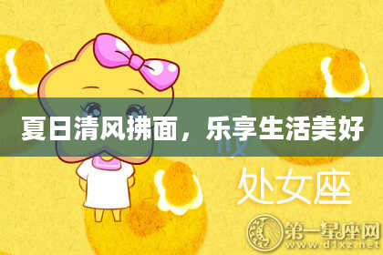 夏日清风拂面,乐享生活美好