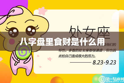 八字盘里食财是什么用