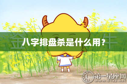 八字排盘杀是什么用？