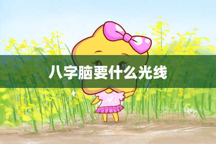 八字脑要什么光线