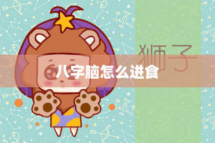 八字脑怎么进食