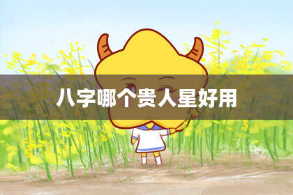 八字哪个贵人星好用