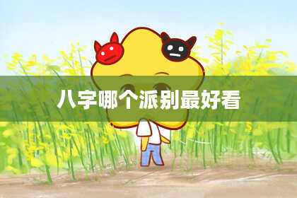 八字哪个派别最好看