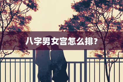 八字男女宫怎么排？