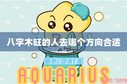八字木旺的人去哪个方向合适